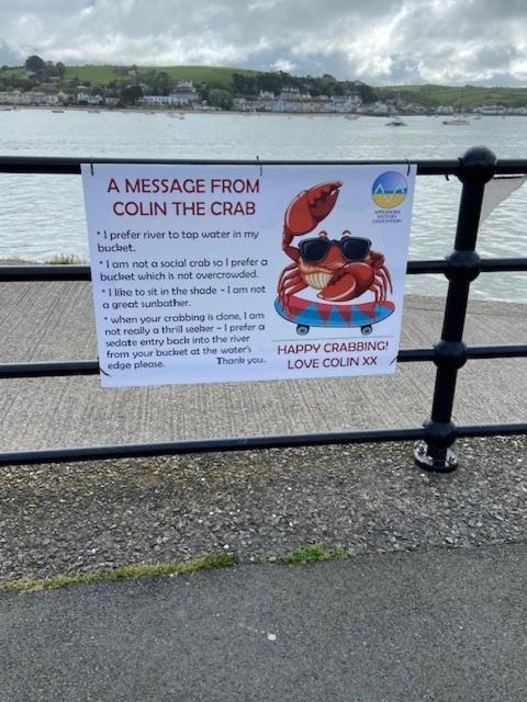 The Seagate Hotel Appledore Bagian luar foto